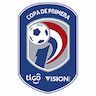 Division Profesional