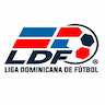 Liga Mayor
