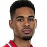 Player Image
