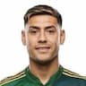 Player Image