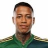 Player Image