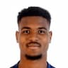 Player Image