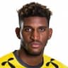 Player Image
