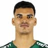 Player Image