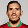 Player Image