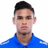 Player Image