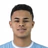 Player Image