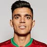 Player Image