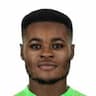 Player Image