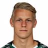 Player Image