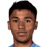 Player Image