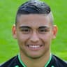 Player Image