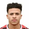Player Image