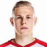 Player Image