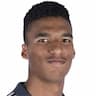Player Image