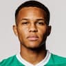 Player Image