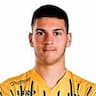 Player Image