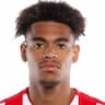 Player Image