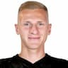 Player Image
