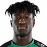 Player Image