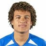 Player Image
