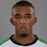 Player Image