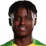 Player Image