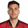 Player Image