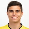 Player Image