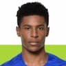 Player Image
