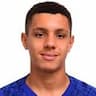 Player Image