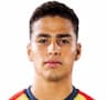 Player Image
