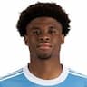 Player Image