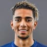 Player Image