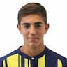 Player Image