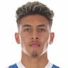 Player Image