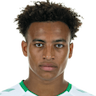 Player Image