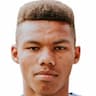 Player Image