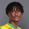 Player Image
