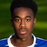 Player Image