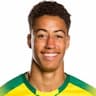 Player Image