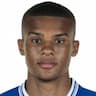 Player Image