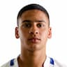 Player Image