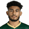 Player Image