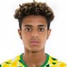 Player Image