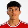 Player Image