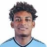Player Image