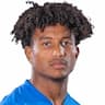 Player Image