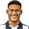 Player Image