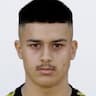 Player Image